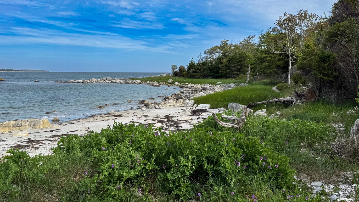 Thomas Randall Provincial Park
