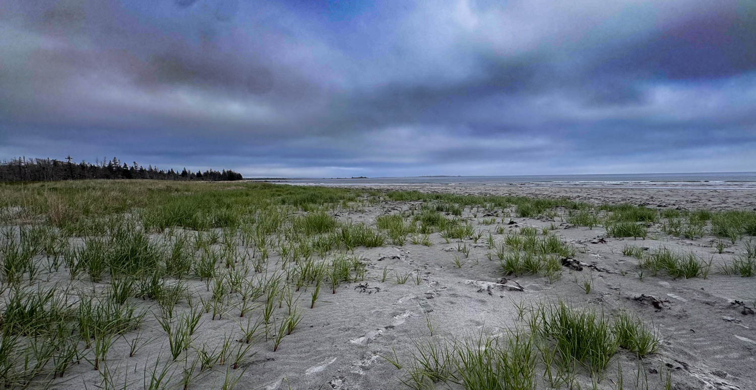 Roseway Beach