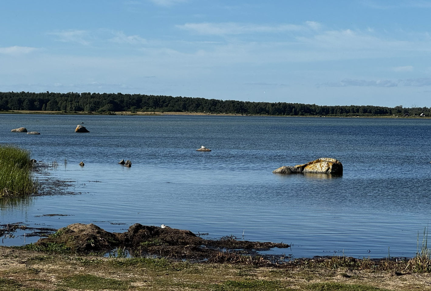 Landöns Camping